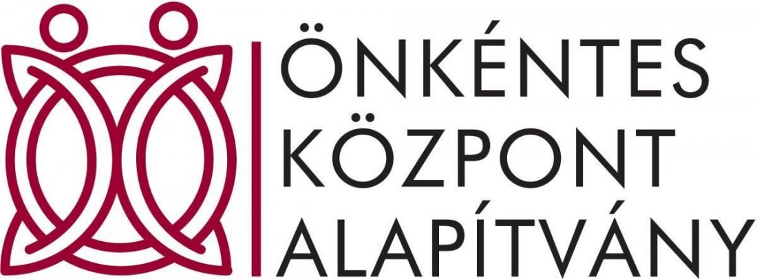 Önkéntesek Napja 2013 