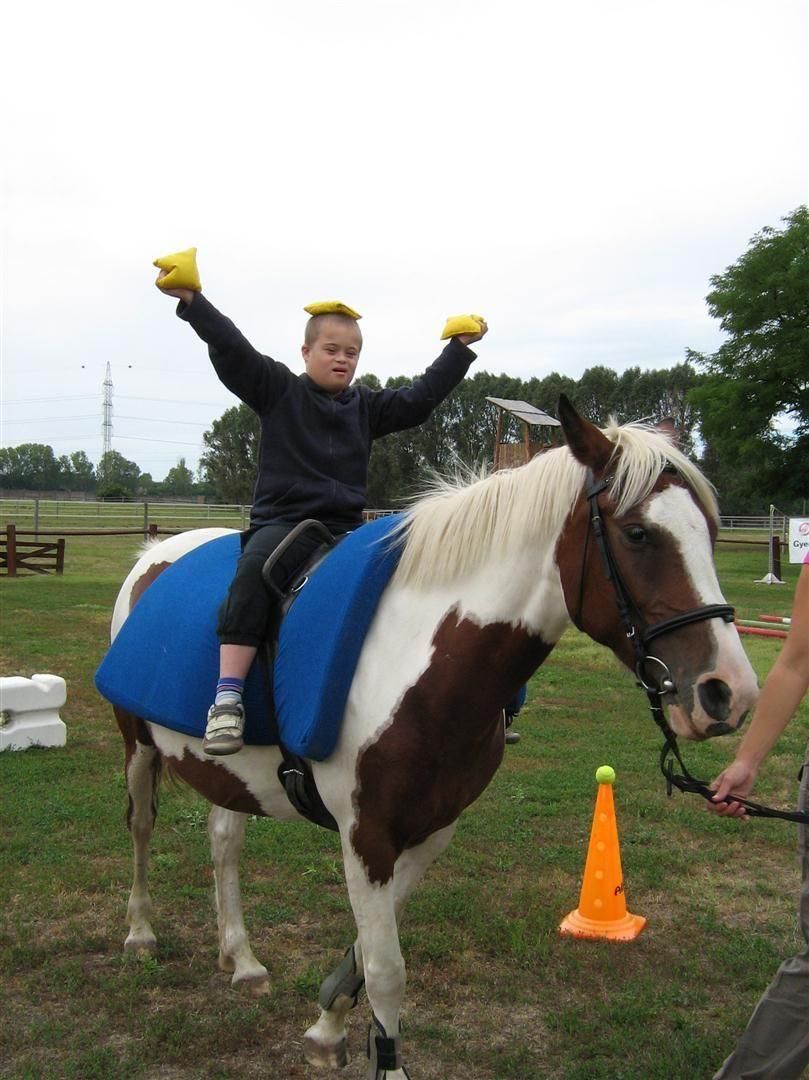 Sérült gyerekek lovasterápiás táborai Fóton