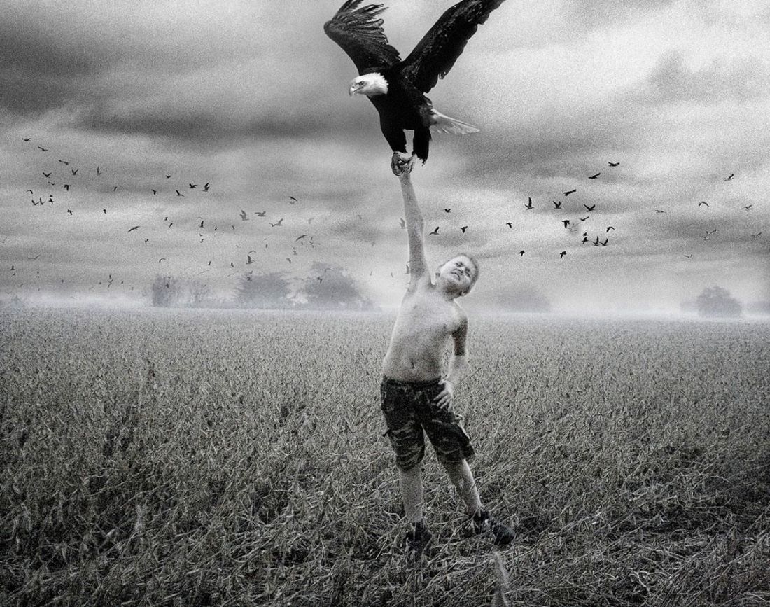 Döglött sas a havon