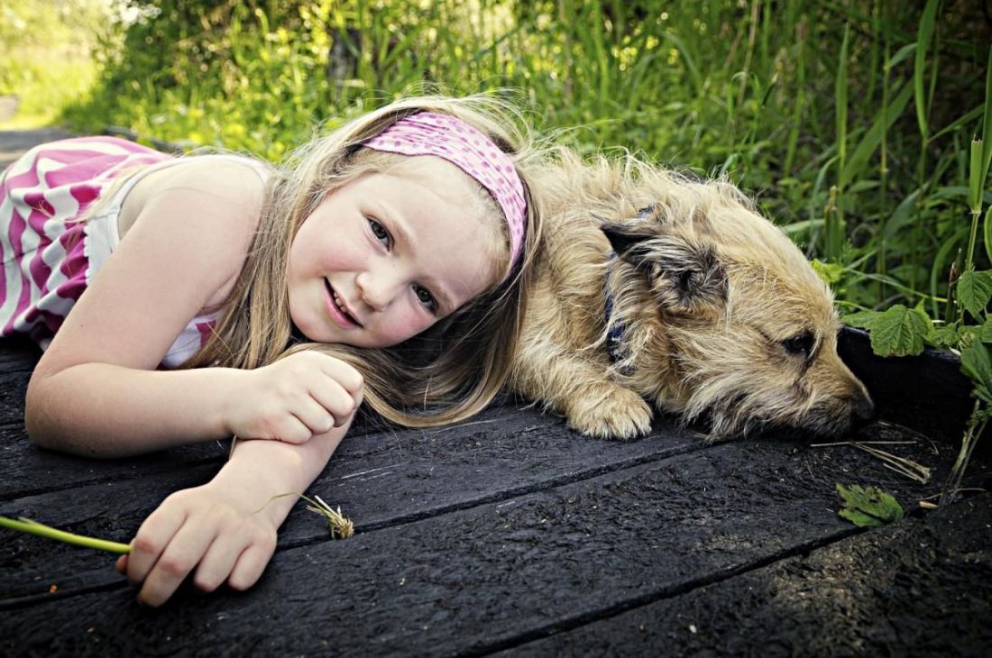Hogyan dolgozzák fel a gyerekek háziállataik elvesztését?