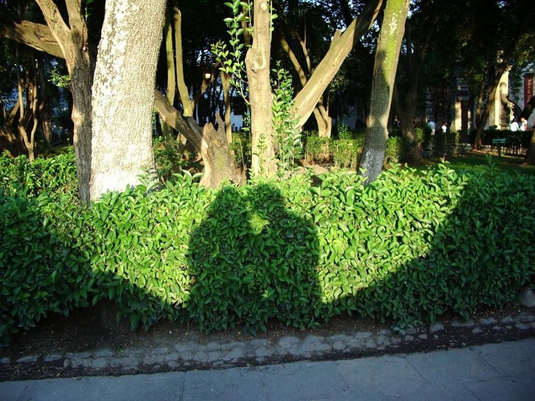 A féltékenység szemüvege – avagy lehetséges valóságaink 