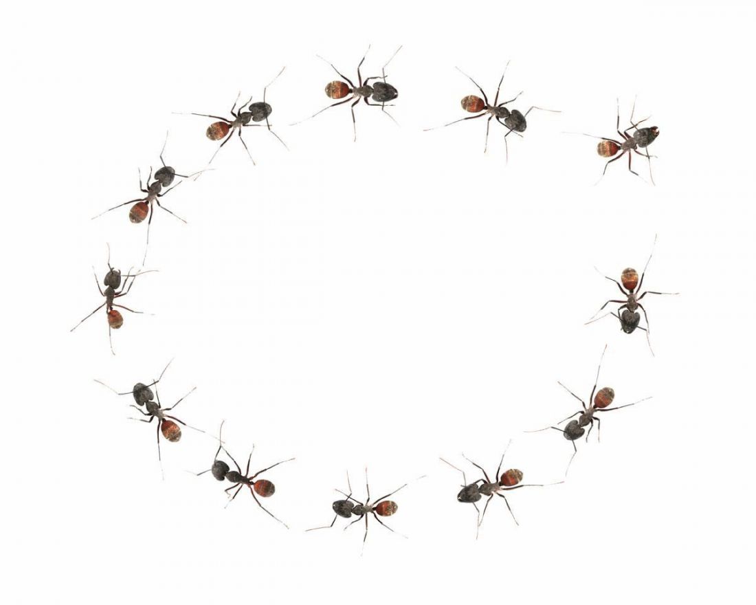 Büntetés, jutalmazás, bizalom