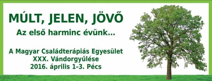 Az első harminc évünk…  A Magyar Családterápiás Egyesület XXX. Vándorgyűlése