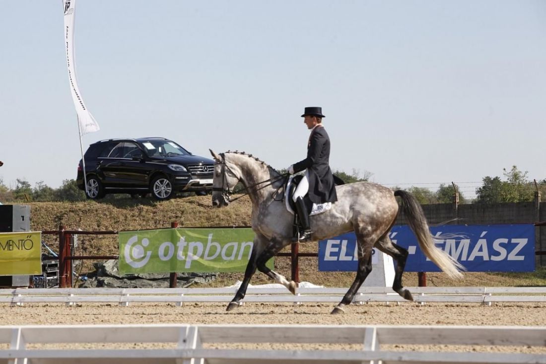 Nemzetközi és Nemzeti Díjlovas Verseny és Lovasterápiás Verseny