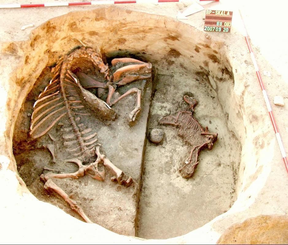 IRJ EGY „KINCSET”!