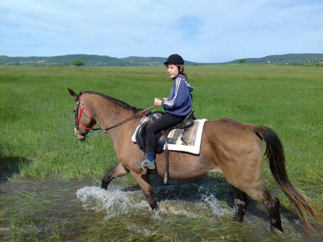 Sokszínű segítőtársunk: a ló