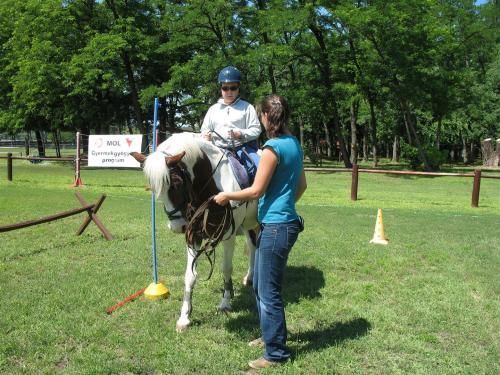  „Lovak a magyar népmesékben és mondákban” 