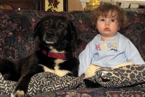 Mondjam vagy ugassam?