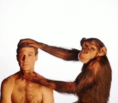 Emberi elme – állati elme 