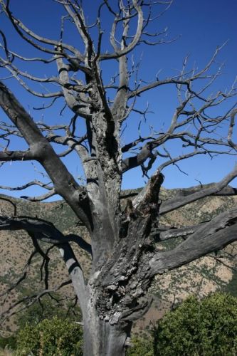 A halál iránti attitűd változása