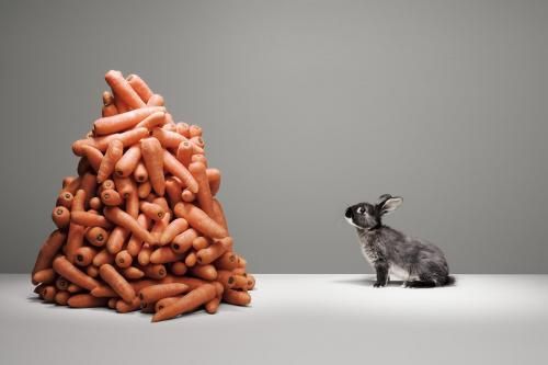 Bárki lehet szerencsés, de nem akárki