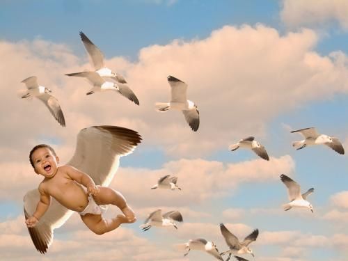 A lelkiismeret születése