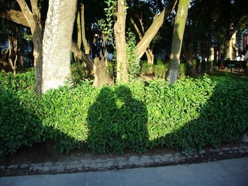 A féltékenység szemüvege – avagy lehetséges valóságaink 