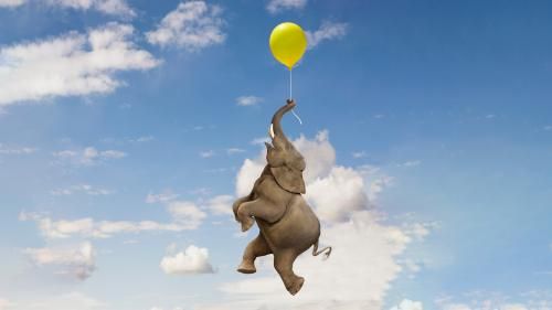 Az akaraterő tudománya