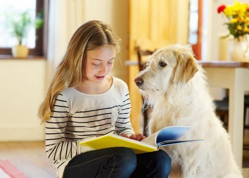 „Érezd az erőt!”