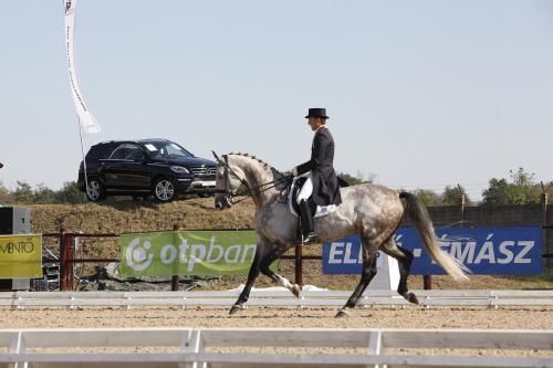 Nemzetközi és Nemzeti Díjlovas Verseny és Lovasterápiás Verseny