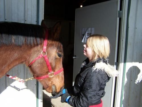 Stresszcsökkentő lovaglás