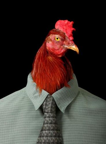 Bedarált személyiségek?  