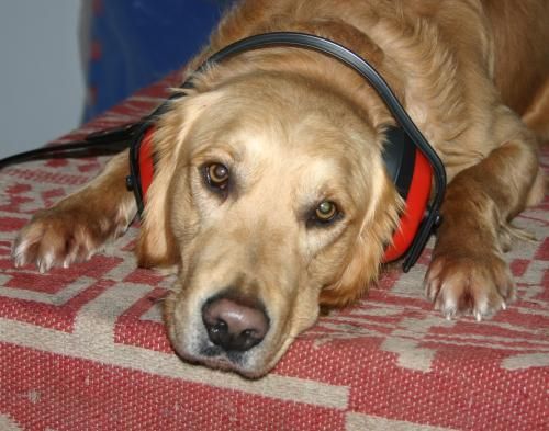 Ha elmondani nem tudja, kérdezzük másképp!