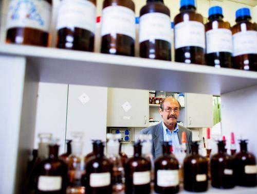 Egy tökéletes társadalom modellje van bennünk – 1. rész