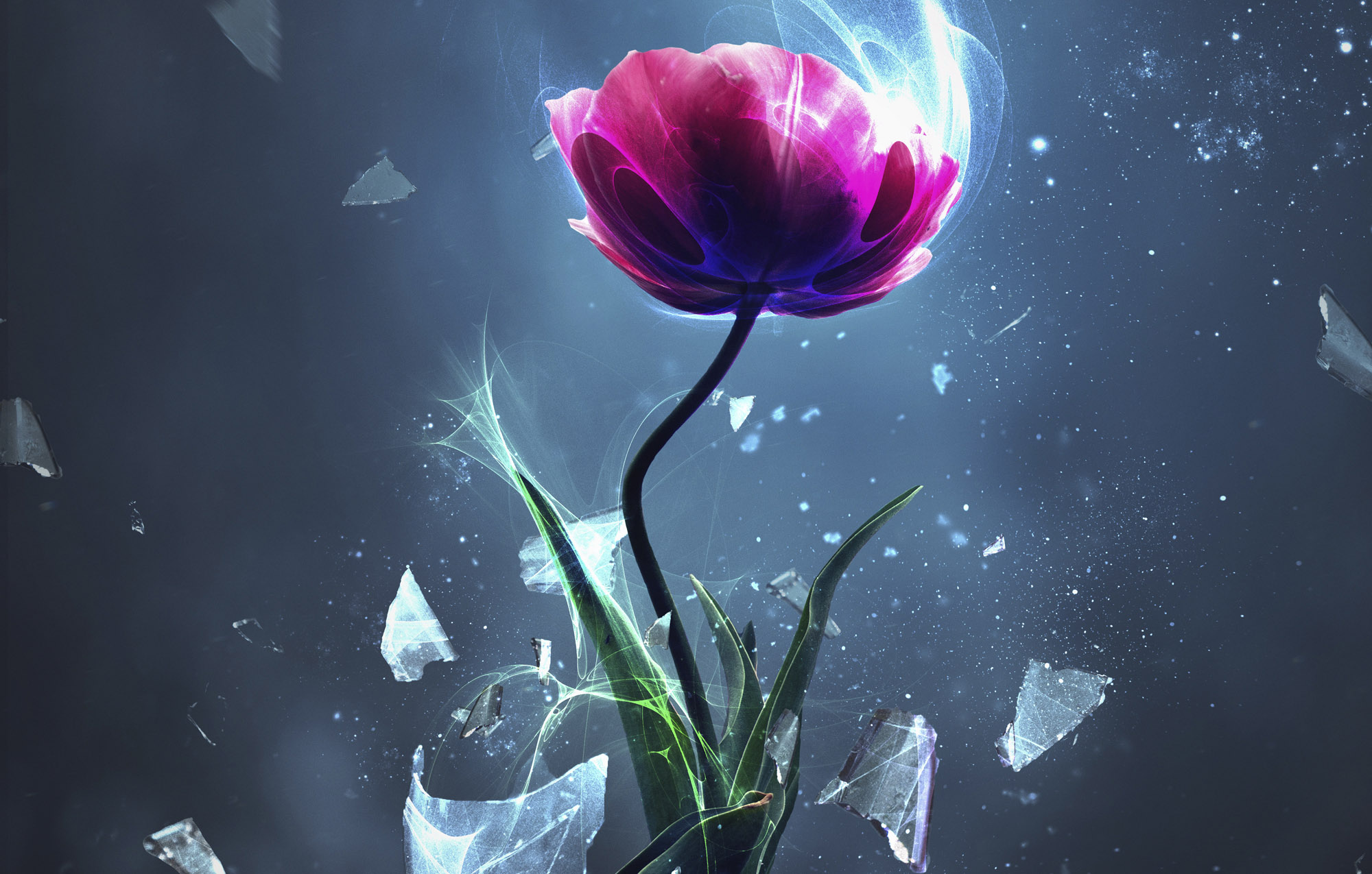 A megsebzett segít?