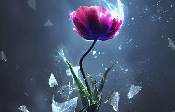 A megsebzett segít?