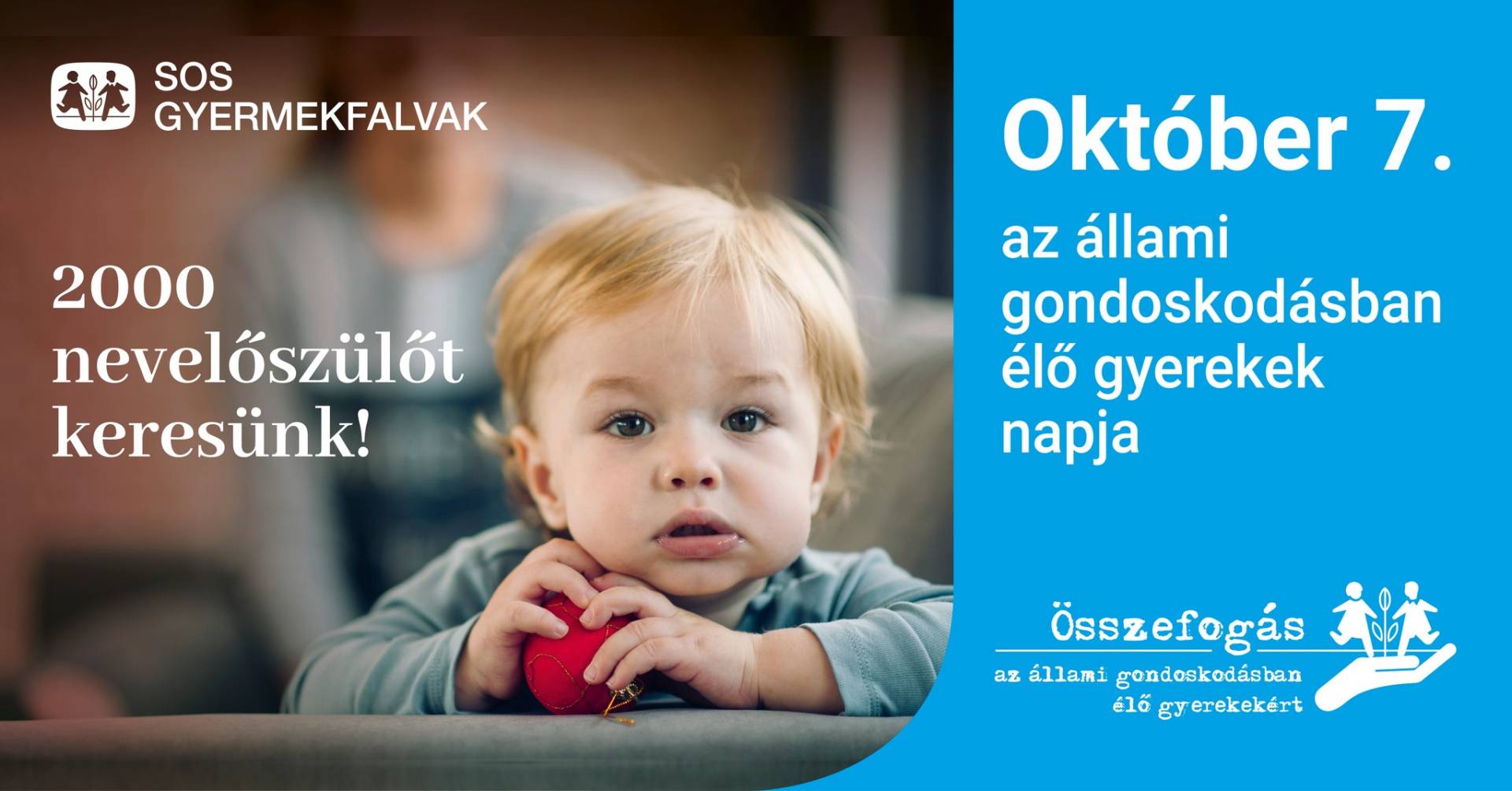 Fogadj be egy árvácskát!