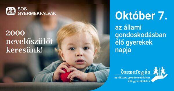 Fogadj be egy árvácskát!