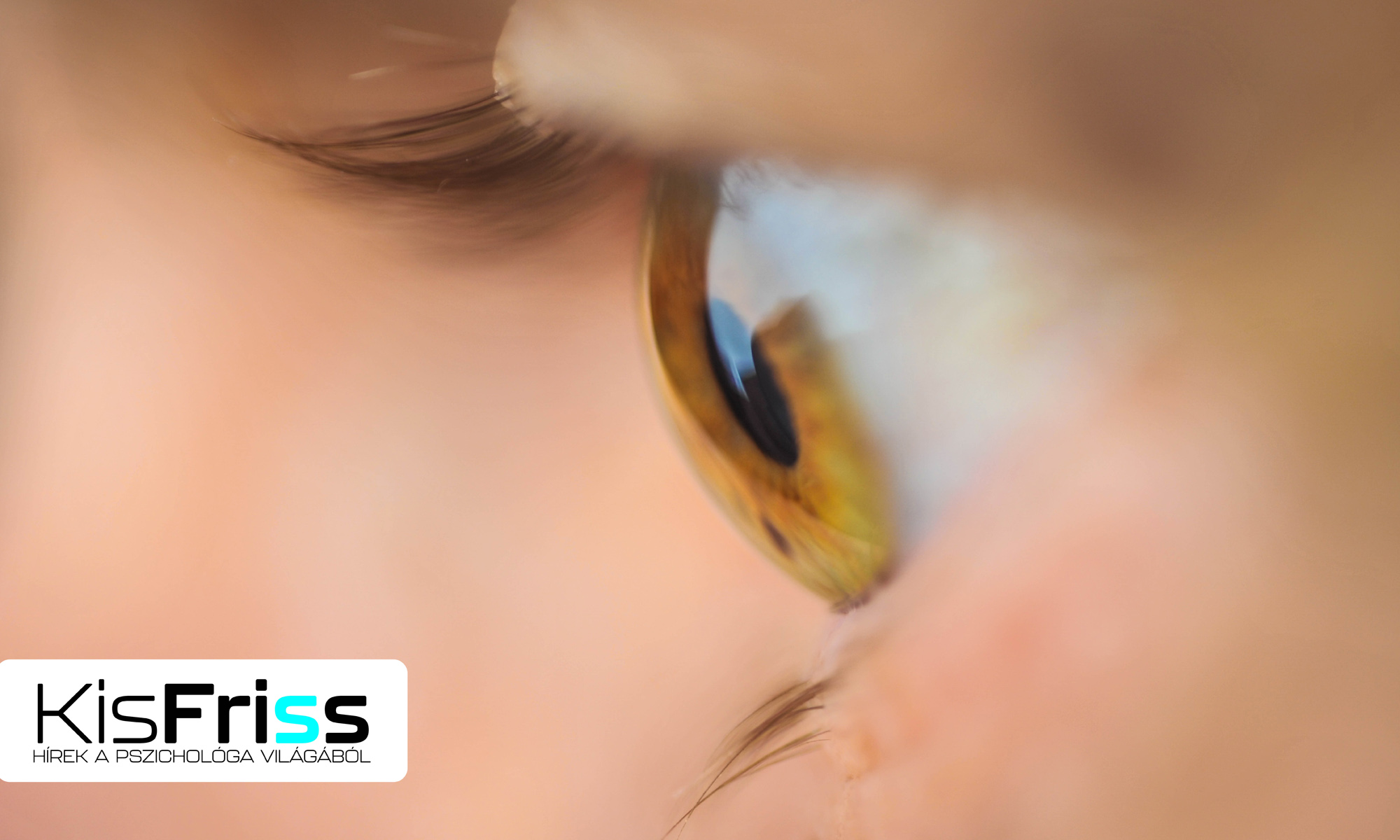 Kvízm?sorok a kognitív kutatásokban