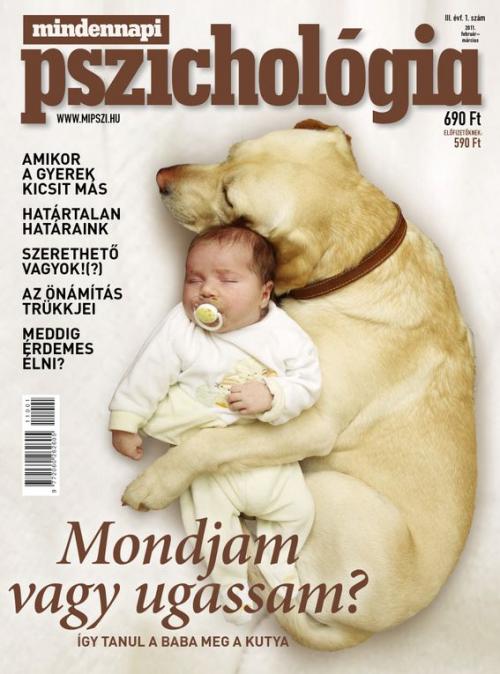 3. évfolyam  1. szám