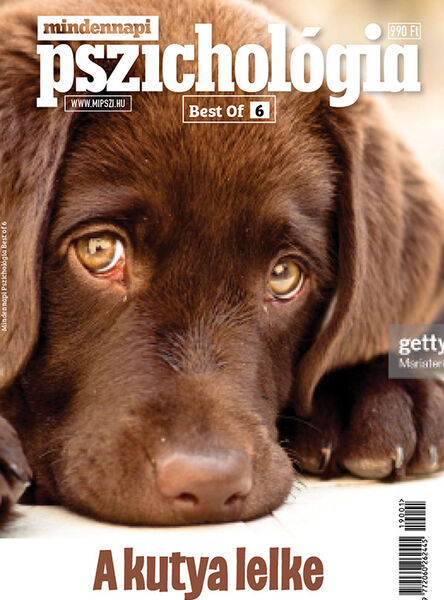 Best of- A kutya lelke