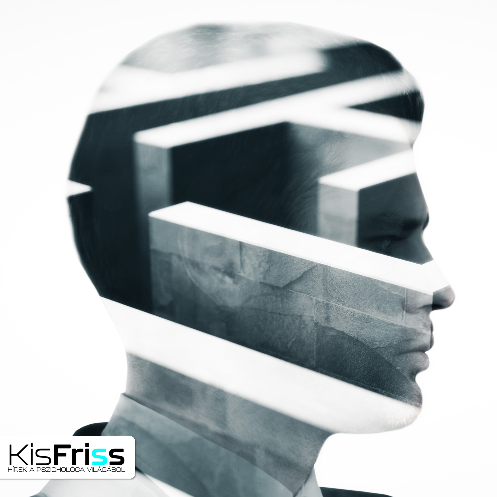 Az anendofázia csendes bels? világa