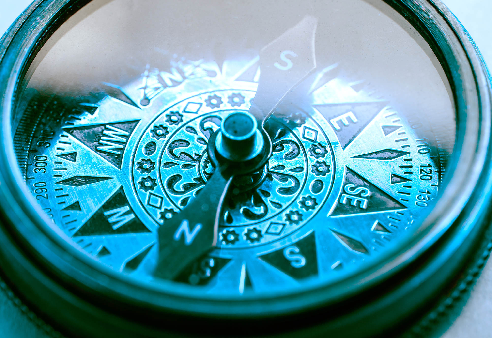 Kibújni a tojáshéjból – egy örömteli élet esélye 