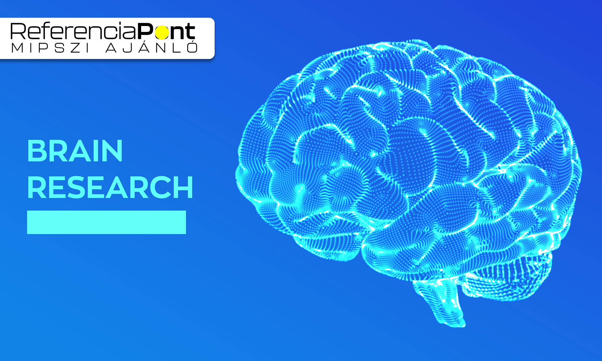 Bemutatkozik a  Nemzeti Agykutatási Program (NAP)