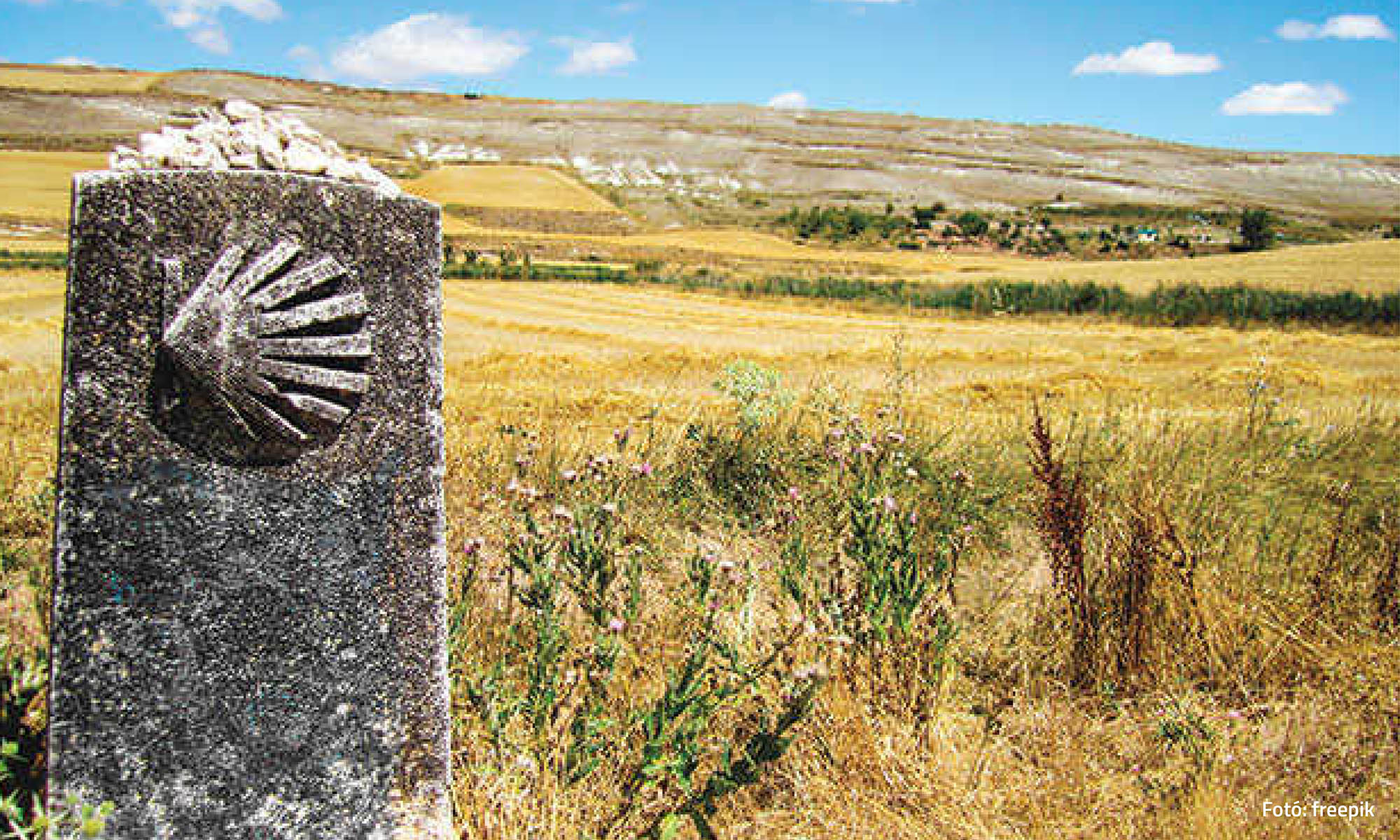 Mindig a sárga úton…