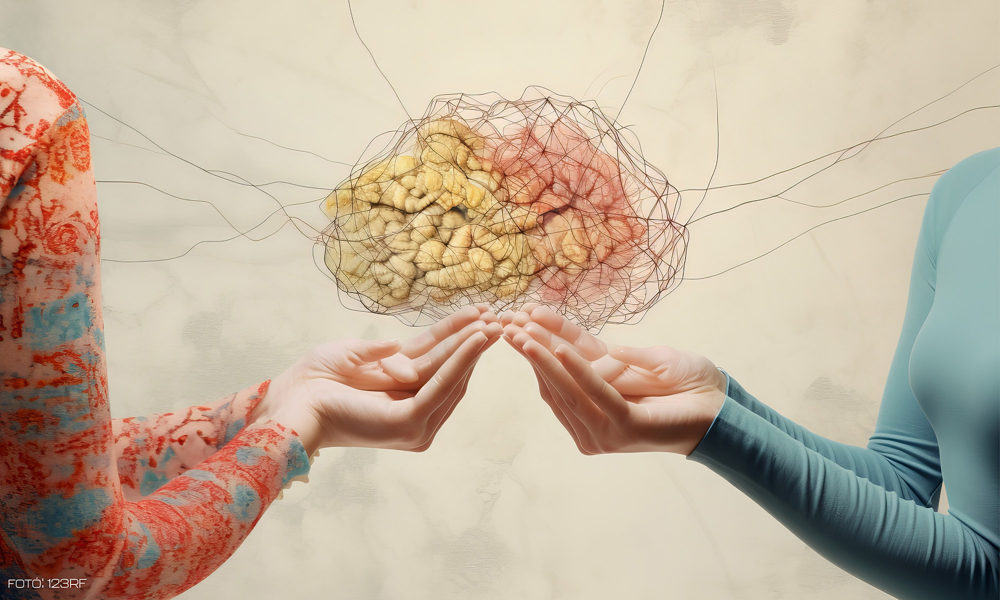 Az agyhasítás-kutatás