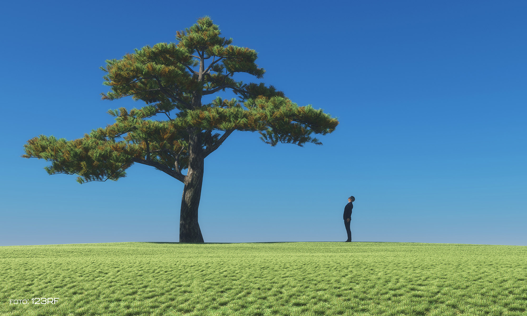 Elhangolódás – Bereczkei Tamás el?adása a modern civilizáció evolúciós csapdáiról