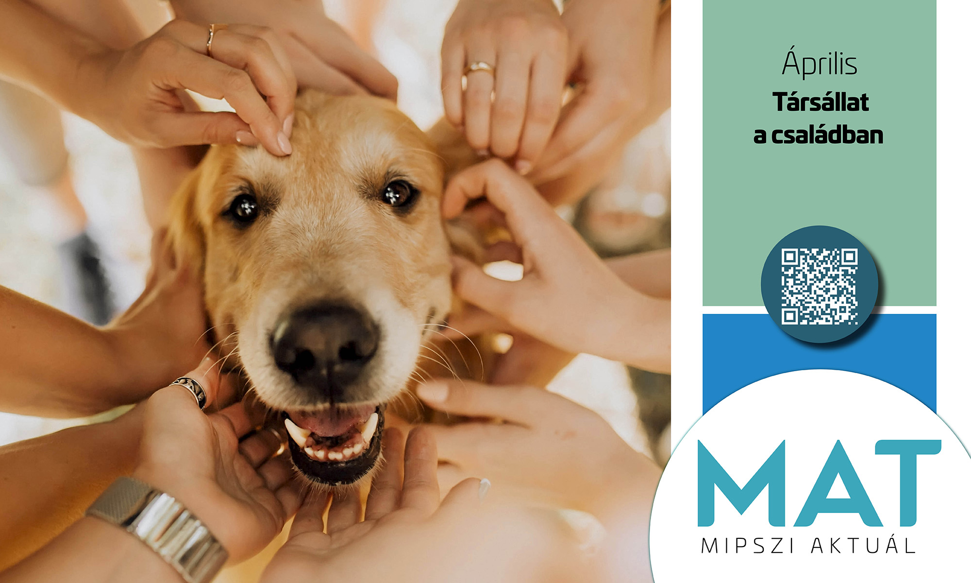 Társállat a családban